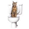 Система привчання котів до унітазу Туалет для кота Citi Kitty Cat Toilet Training