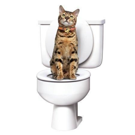 Система привчання котів до унітазу Туалет для кота Citi Kitty Cat Toilet Training