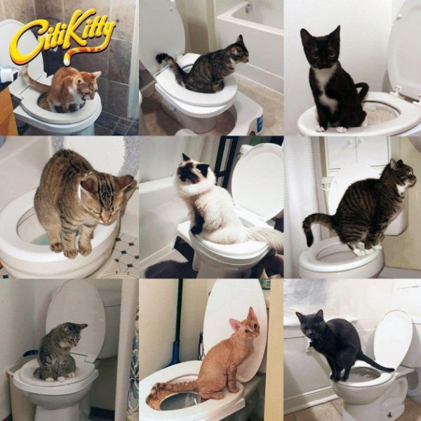 Система привчання котів до унітазу Туалет для кота Citi Kitty Cat Toilet Training