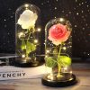 Штучна троянда у колбі Forever Rose N-651 • Світильник Троянда з 7 кольорами підсвічування