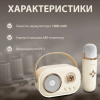 Акустична система «RETRO» з мікрофоном ∙ Бездротова портативна Bluetooth колонка на акумуляторі ∙ Міні-караоке