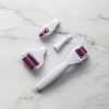Мезороллер Derma Roller System 5 в 1 для гененерації шкіри · Набір титанових голок із запасними головками
