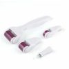Мезороллер Derma Roller System 5 в 1 для гененерації шкіри · Набір титанових голок із запасними головками