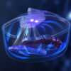 ustroistvo-dlia-razmorazhyvanyia-produktov-defroster-razmorazhyvatel-defroster-dlia-doma-usb-pytanye-27560969775686_-0b06f6e595 Пристрій для розморожування продуктів Defroster · Розморожувач - дефростер для дому · USB живлення